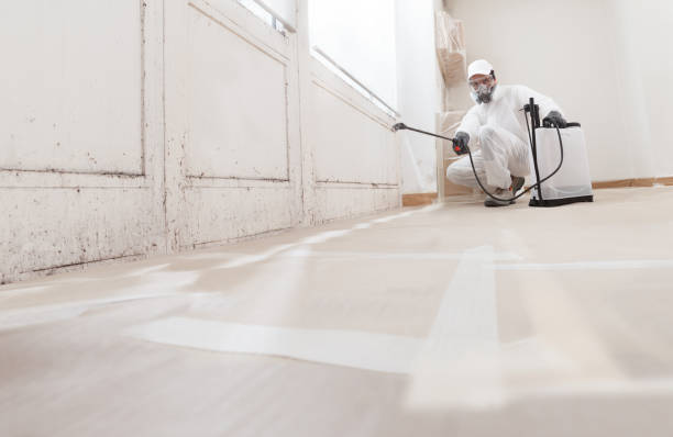 Post-remediation clearance in Houston