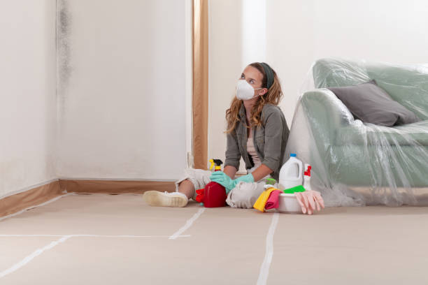 Mold Removal service in Houston